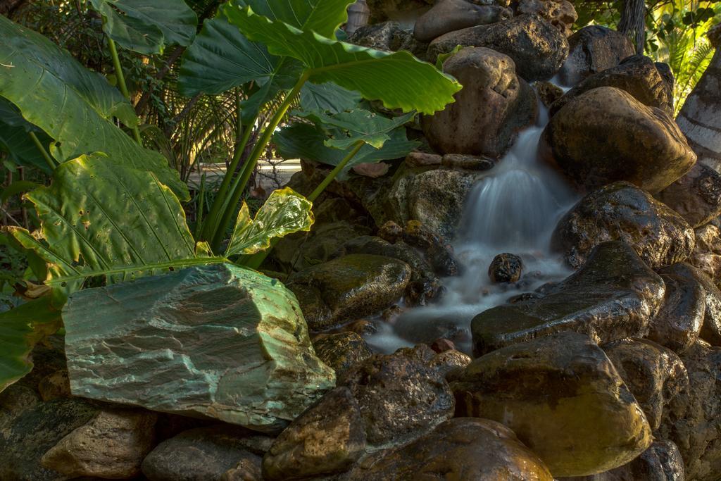 Xanadu Island Resort San Pedro  Ngoại thất bức ảnh